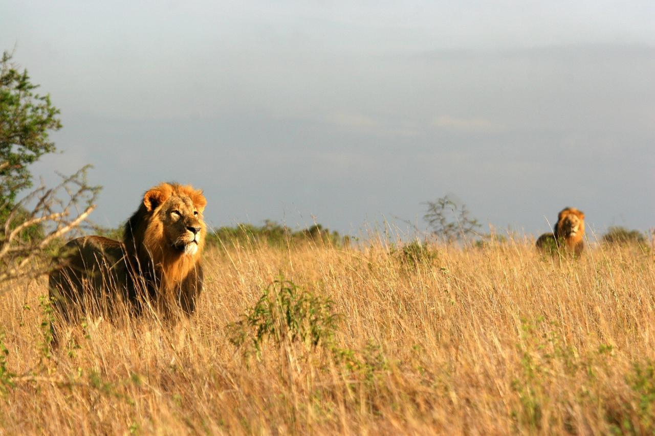 Emakoko Nairobi Bagian luar foto